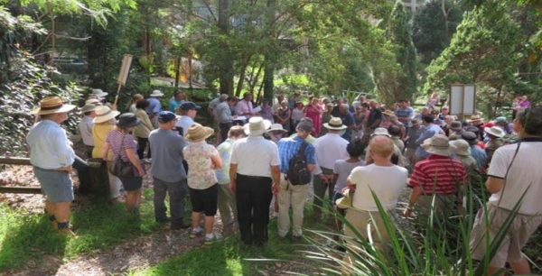 Battle to Preserve the Byles Creek Wildlife Corridor