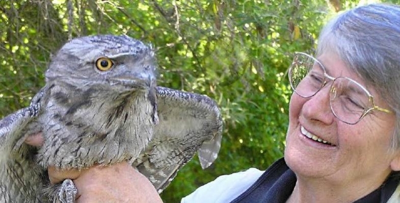 What Australian Birds Can Teach Us About Choosing a Partner and Making it Last