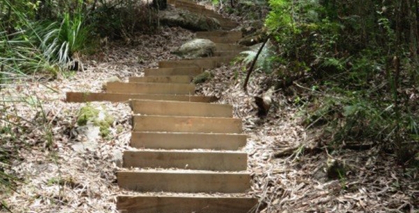 New Steps on STEP Track