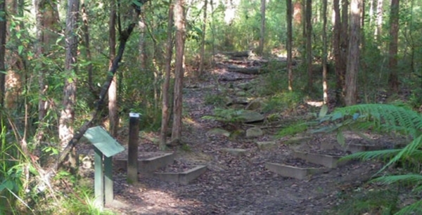 Introductory Bush Walks are Popular